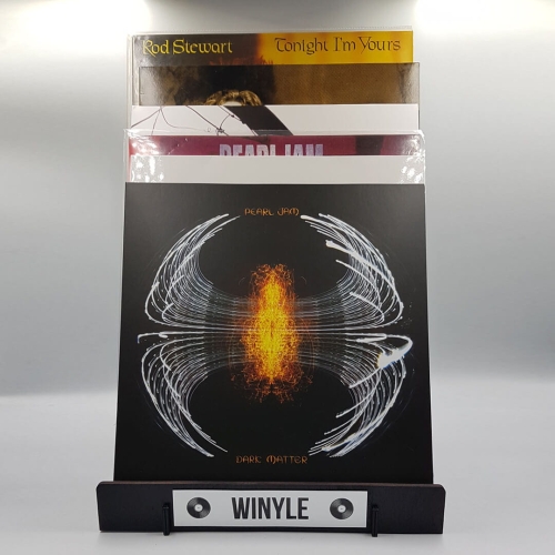 czarny stojak na winyle ekspozycja płyt.jpg